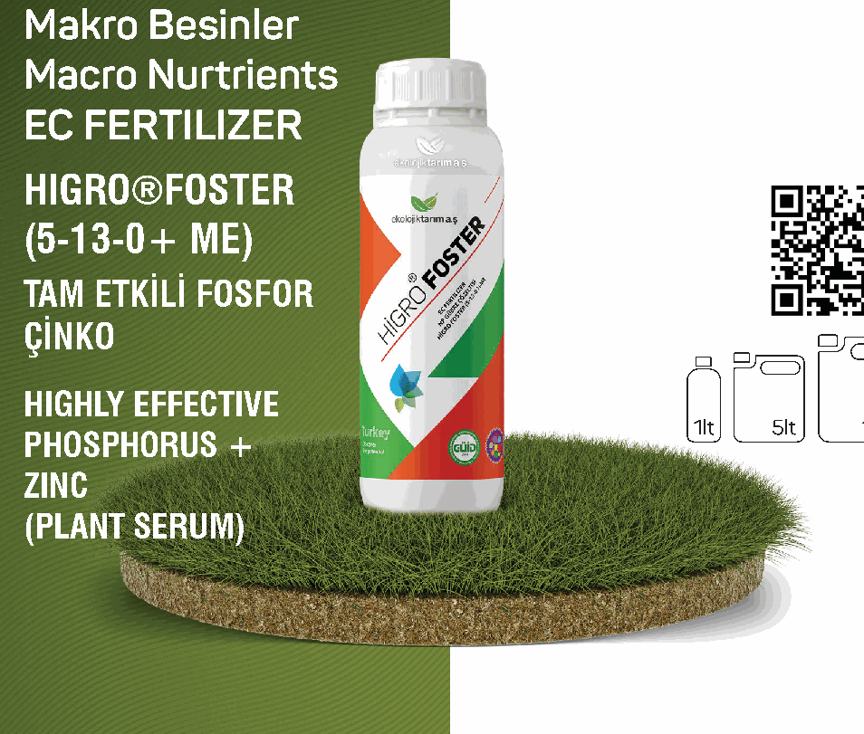 HIGRO FOSTER