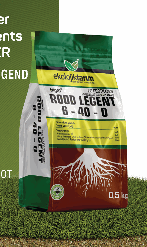 HIGRO ROOT LEGEND